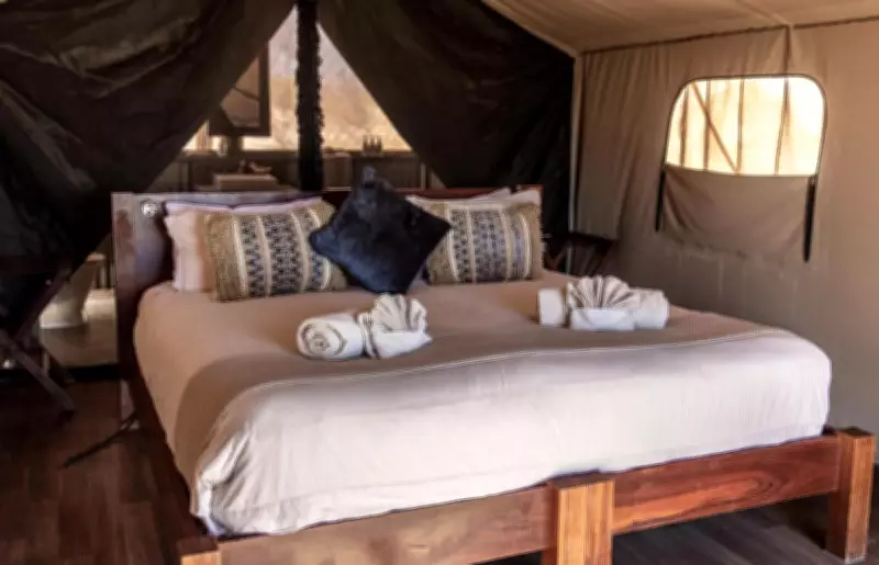 Luxury Eco-Camp Adds Complimentary Whale Shark Swim to Stays