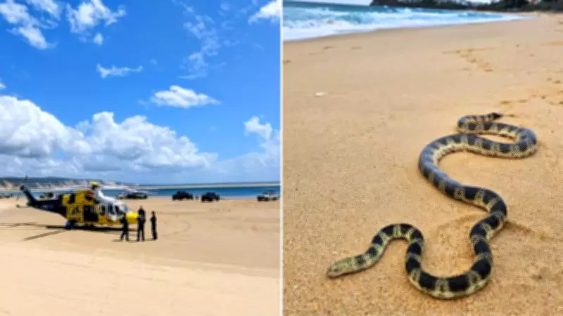 Man Hospitalised After Suspected Sea Snake Bite on Queensland Beach