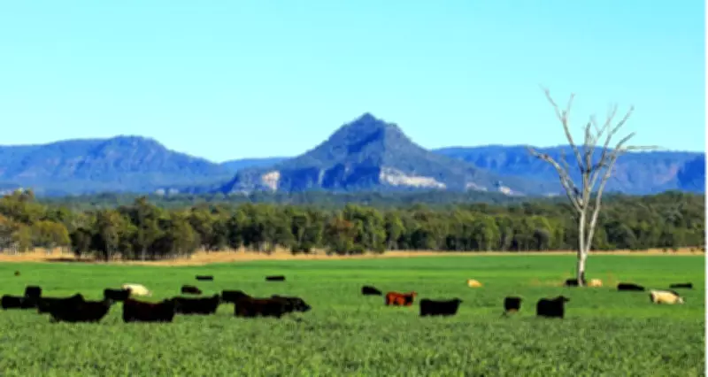 Massive Central Queensland Cattle Station Hits Market for Over $80 Million