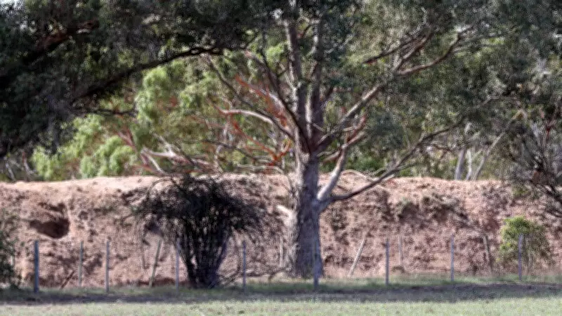 Massive Dirt Wall Erected Around Freshwater Creek Depot Site Amid Controversy
