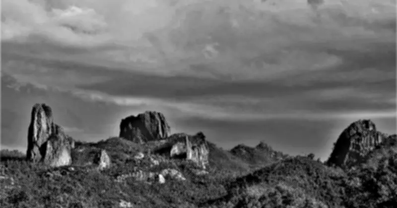 Matt Canavan's Nationals Leadership Bid Signals Major Policy Shift