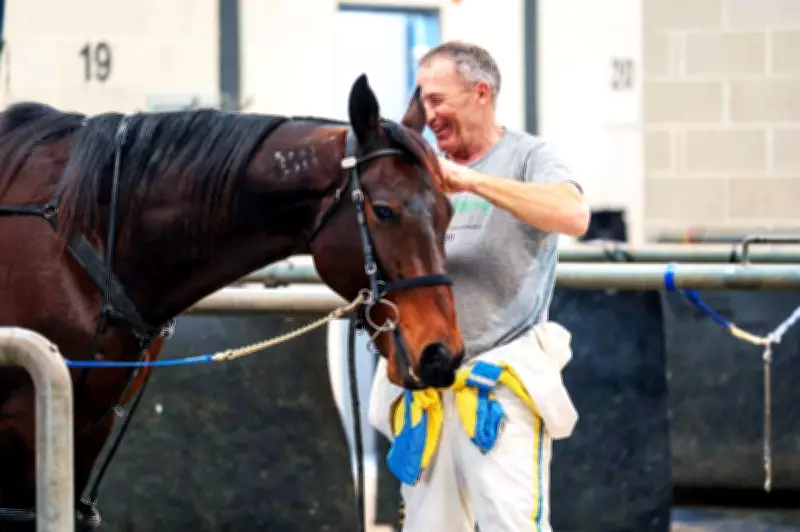 Max Delight Secures Slot in $1.25 Million The Nullarbor at Gloucester Park