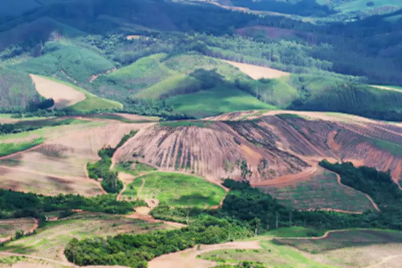 MetalsGrove Mining Sharpens Focus on Major Côte d'Ivoire Gold Corridor