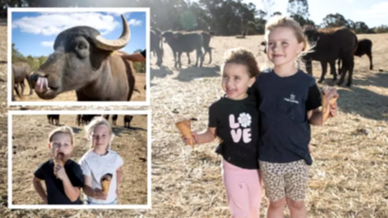 MICA Creamery and Quindanning Buffalo Launch WA's First Buffalo Milk Ice Cream