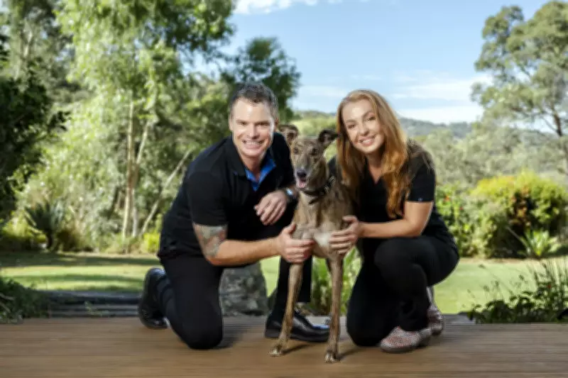 Miss Envy Aims for Perth Cup After Two-Time Greyhound of the Year Wins