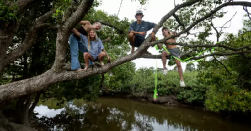 Newcastle Residents Take Crocodile Capture Into Own Hands After Police Call