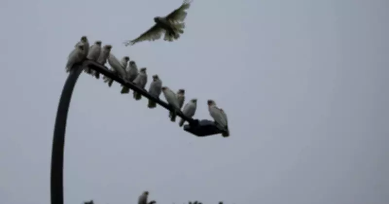 Newcastle Weather Forecast: Summer Ends, Autumn Arrives with Mild Conditions