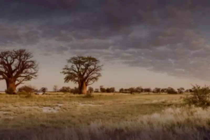 Noronex Secures $1.25M from Namibian Copper Project Sale