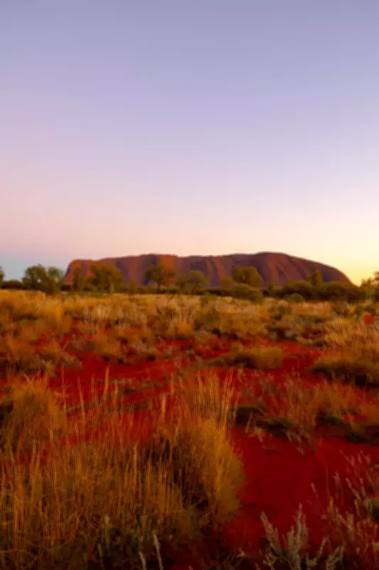 Northern Territory Travel Auctions Offer Unique Uluru and Alice Springs Getaways