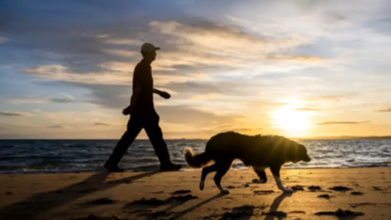 Palm Cove Dog Sign Relocated to Protect Iconic Beach Vista