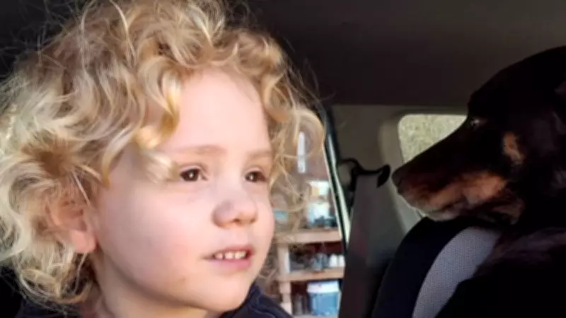 Police Resume Search for Missing Boy Gus Lamont at Yunta Property