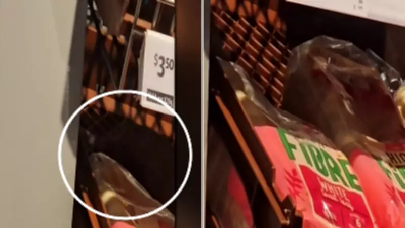 Rats Infest Bread Aisle at Sydney Coles Supermarket, Prompting Food Safety Concerns