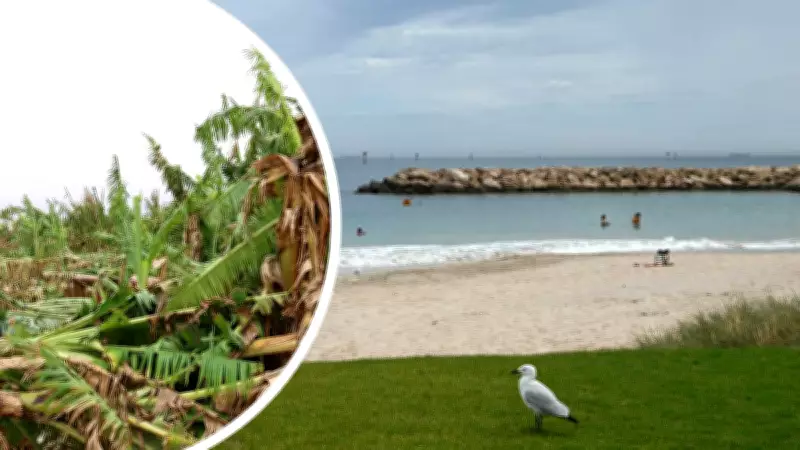 Record Summer Heat and Storms Ravage Gascoyne and Mid West Regions