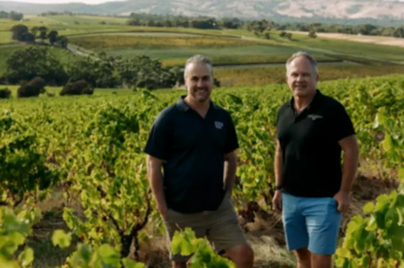 SA Winemaker Acquires Prestigious Vineyard Amid Industry Challenges