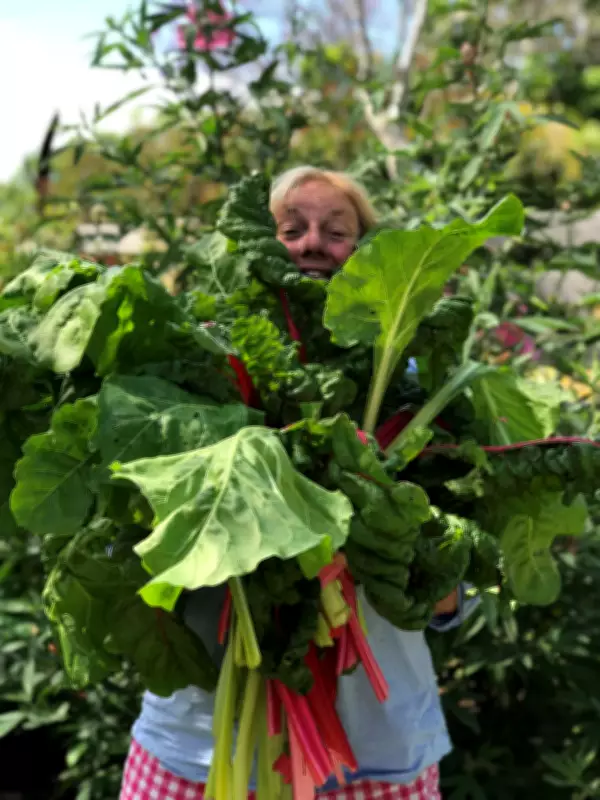 Sabrina Hahn's Autumn Gardening Guide: Best Veggies and Native Trees