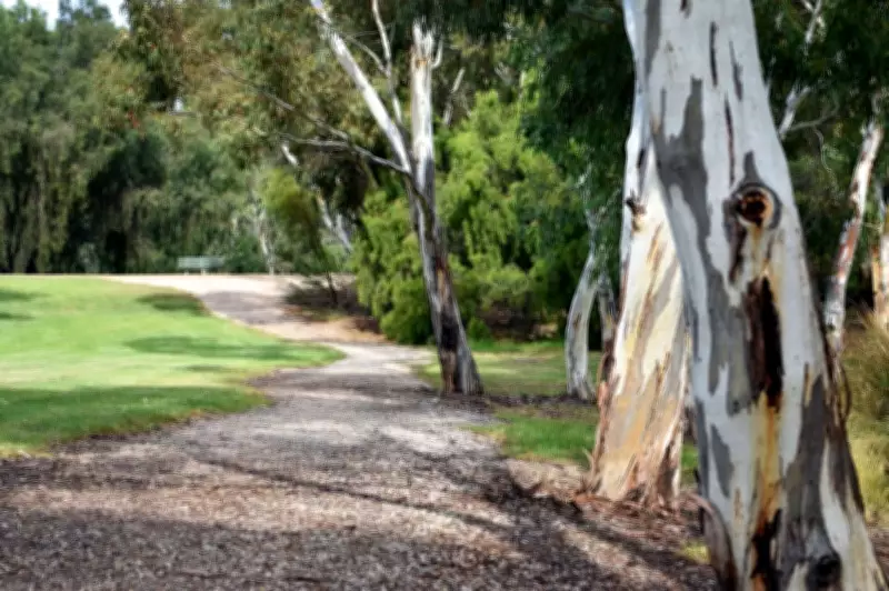 Salisbury and Private Schools Gain Power to Remove Protected River Red Gums