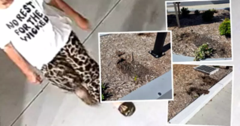 Serial Plant Thief Sentenced for Eight Garden Raids in a Month