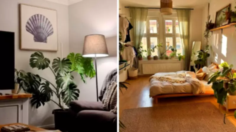 Simple Home Improvement Hack Can Boost Property Value by Up to 17%