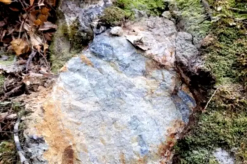 Siren Gold Uncovers Extensive Gold System at New Zealand's Sams Creek Project