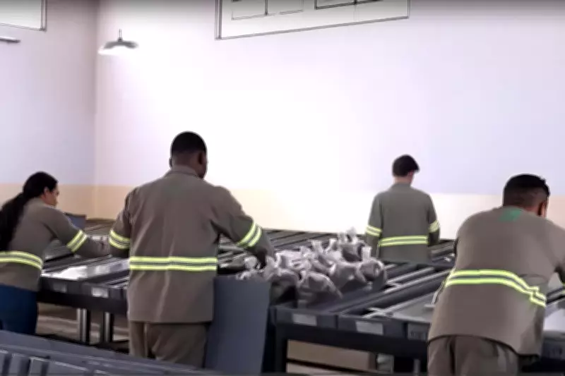 St George Mining Expands High-Grade Rare Earths Footprint in Brazil