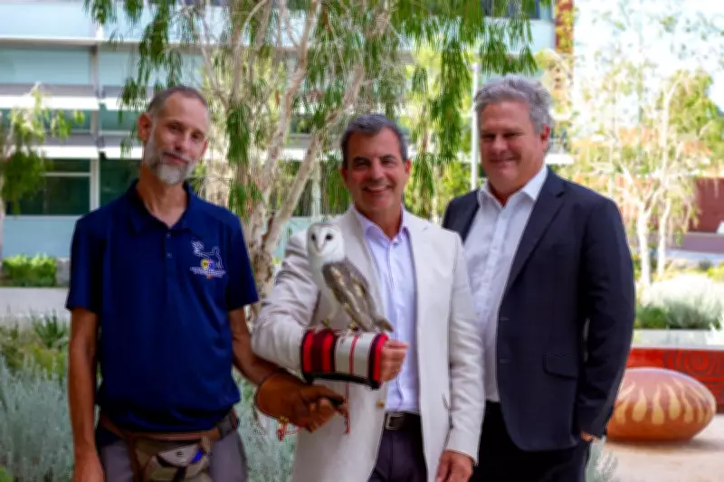 Stirling Bans Rodent Poisons to Protect Owls, Becomes 'Owl-Friendly City'