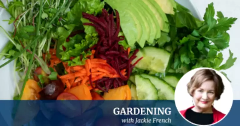 Students Harvest and Create Fresh Salad and Scones in School Garden