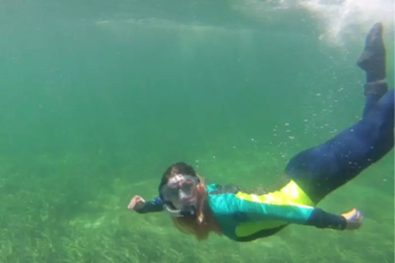 Study Reveals Severe Mental Health Toll of South Australia's Algal Blooms