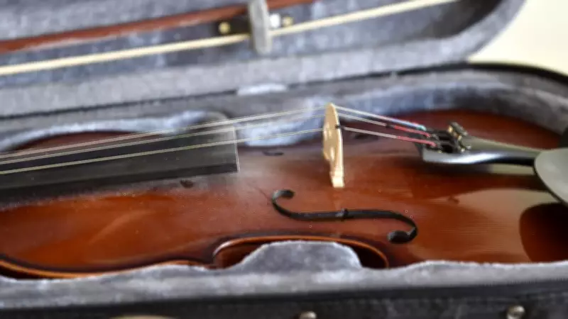 Talented Violinist Sentenced to Prison for Methamphetamine Trafficking in Cairns