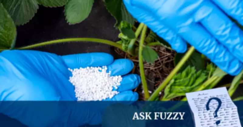 The Origins of Nitrogen Fertilizer: From Air to Soil