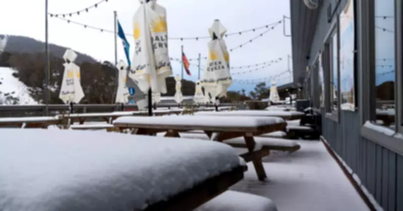 Thredbo and Perisher Welcome First Snowfall as Blizzard Warning Issued
