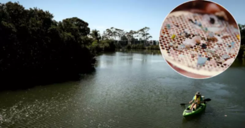 Throsby Creek Ranks Fifth in Australia's First Pollution Study
