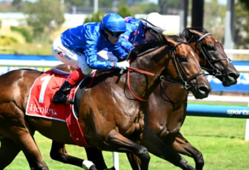 Tom Kitten Makes History as First Dual Winner of All-Star Mile