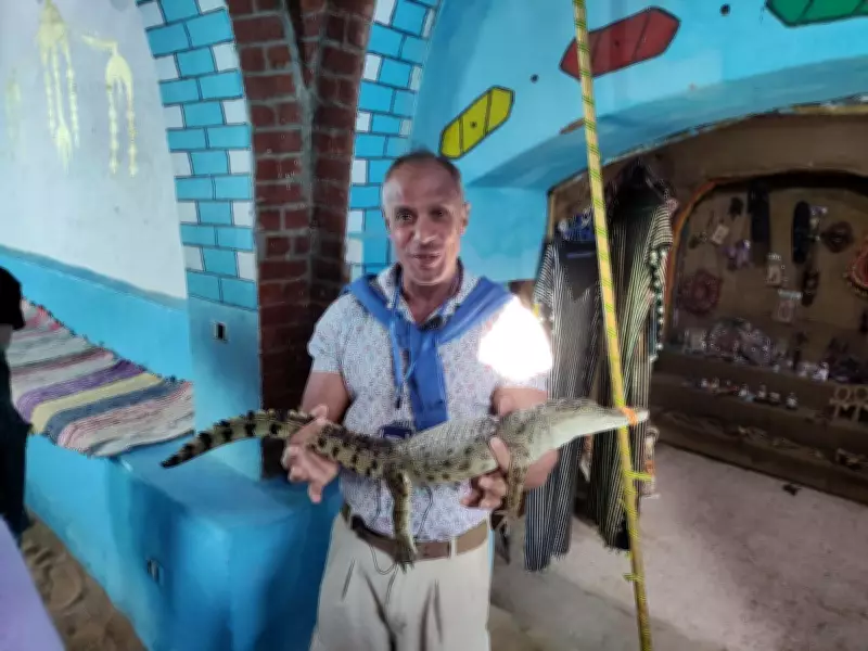 Tourism's Impact on the Nile River: A Critical Environmental Analysis