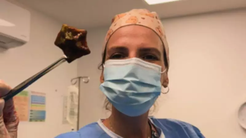 Vets Shocked by Dog's Mystery Meal, Urge Pet Owners to Stay Vigilant