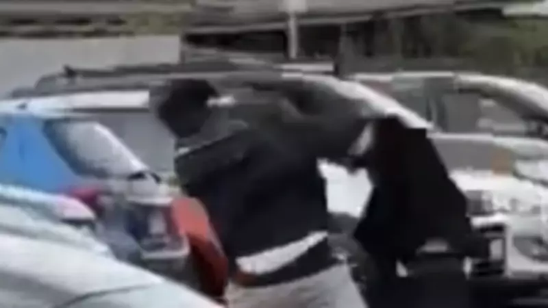 Violent Schoolboy Brawl Halts Traffic on Busy Geelong Road