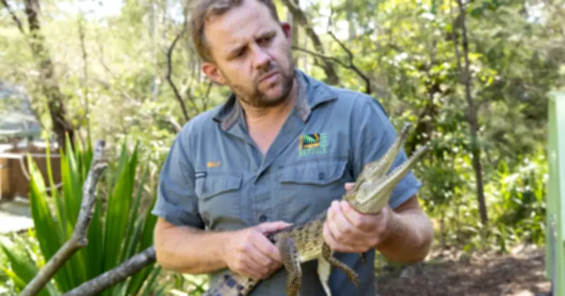 Wally the Crocodile's Future Home Confirmed After Wallsend Capture