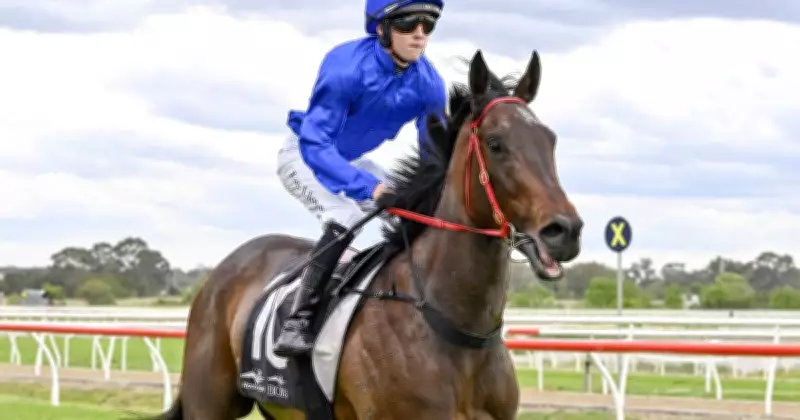 Warwick Farm Wednesday Racing Preview: Expert Tips and Race-by-Race Guide