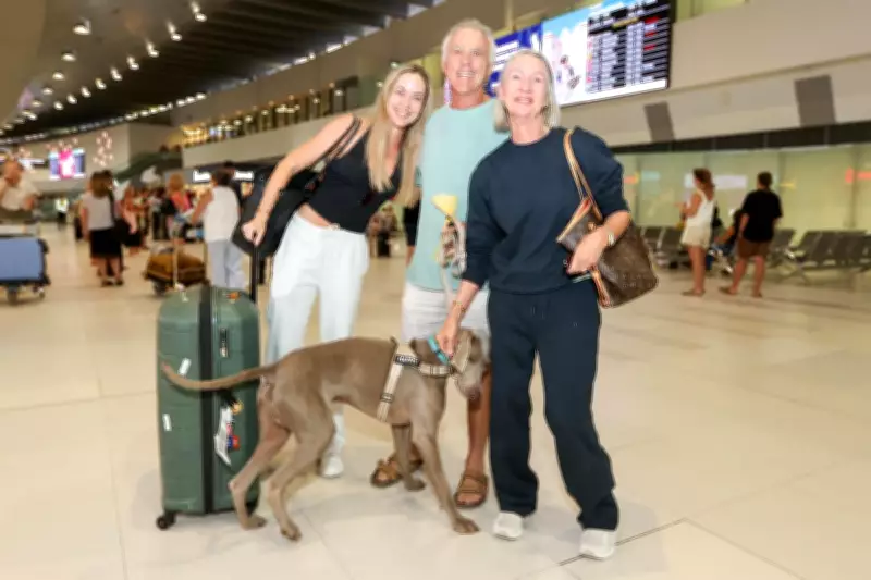 West Australians Return from Dubai on Half-Empty Flights Amid Regional Tensions