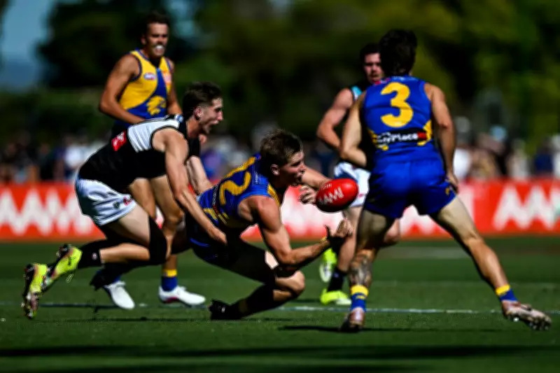 West Coast Eagles' Harry Edwards Ruled Out for AFL Round One Due to Concussion