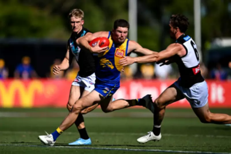 West Coast Eagles Recruit Harry Schoenberg Faces One-Match Ban for Striking Incident