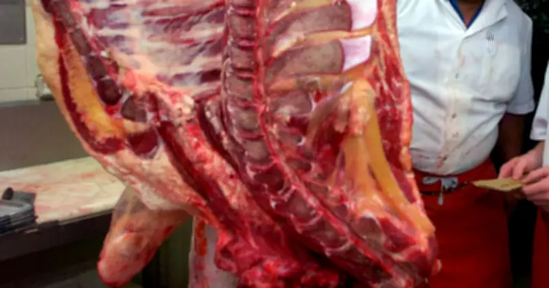 Why Hands-On Trades Remain Safe from Artificial Intelligence Disruption