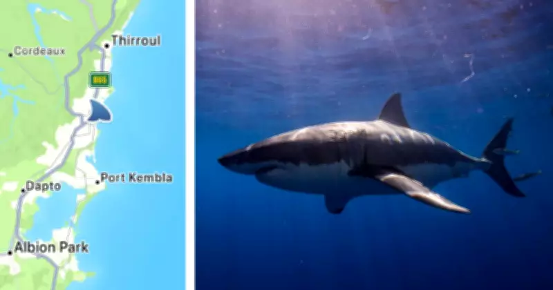 Wollongong Beach Shut Again After Shark Sighting, Second Closure in Two Days