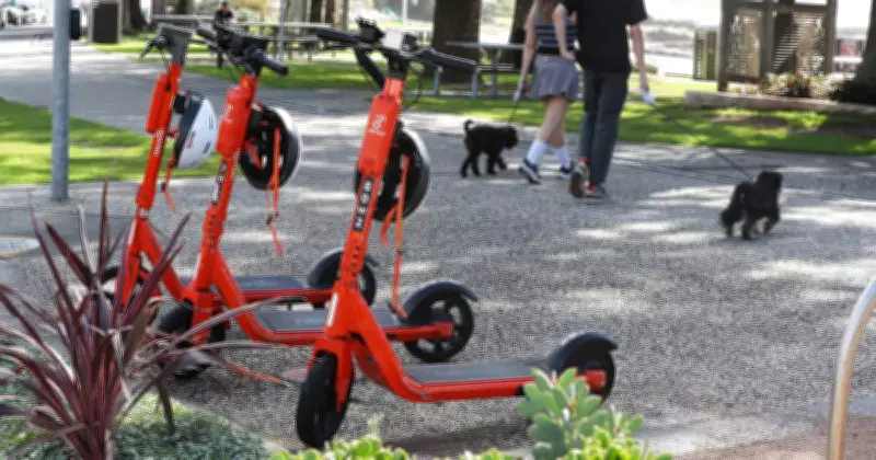 Wollongong's Blue Mile E-Scooter Stop Sparks Compliance Crackdown