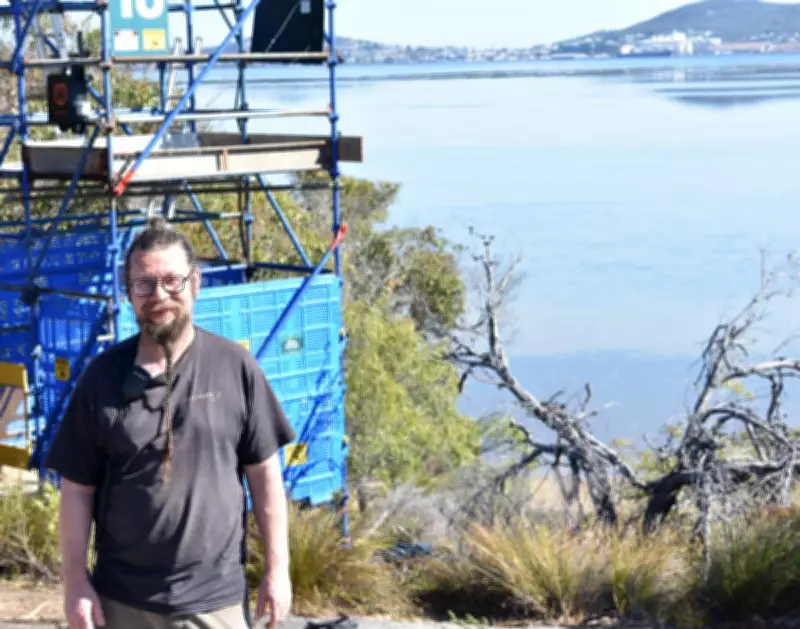 World's Largest Light Installation Illuminates Albany's Coastline