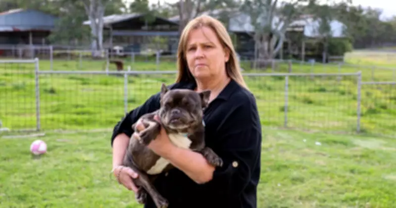 Yallah Woman's Seven-Month Search for Stolen French Bulldog Ruby