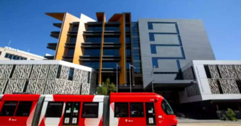 Zak Stewart Admits Guilt in Newcastle Court Over Major Ice Supply Operation