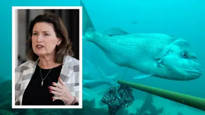 31 Infringements Issued to Fishers Since Demersal Fish Ban Began