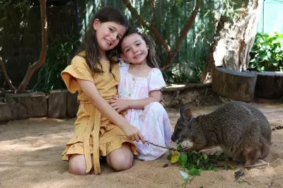 Adventure Passes Ease Financial Burden for Foster Families Amid Rising Costs