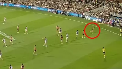AFL Admits Adelaide Interchange Blunder But No Penalty Issued