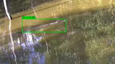 AI Crocodile Surveillance Expands Across North Queensland for Public Safety